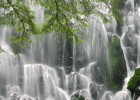 试管婴儿技术的首战，突破性成就的历程